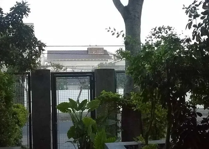Casa Grande *